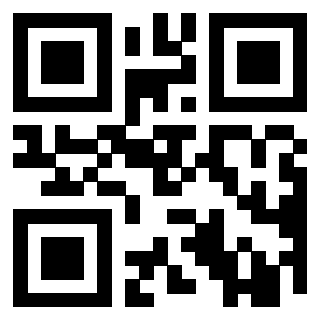 Il Qr Code di 3919497525