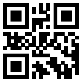 Il Qr Code di 3919497531