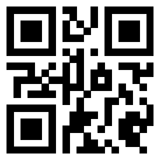 Il Qr Code di 3919497537