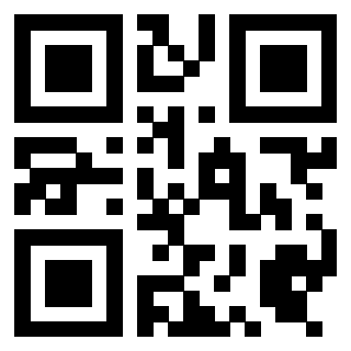 Il Qr Code di 3919497543