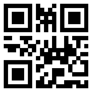 Il Qr Code di 3919497564