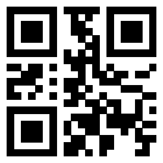 Il Qr Code di 3919497588