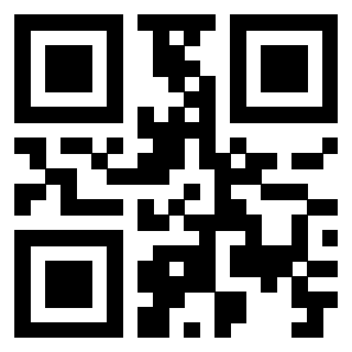 Il Qr Code di 3919497592