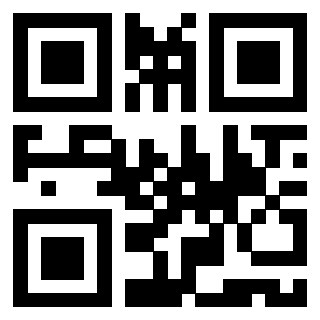 Il Qr Code di 3919497593