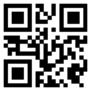 Il Qr Code di 3919497614