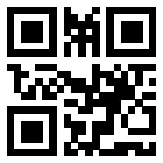 Il Qr Code di 3919497625