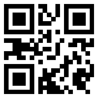 Il Qr Code di 3919497655