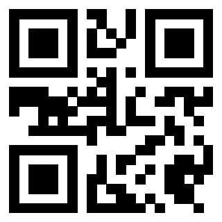 Il Qr Code di 3919497664