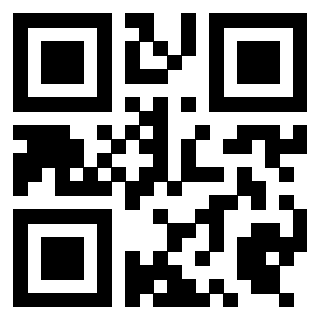 Il Qr Code di 3919497665