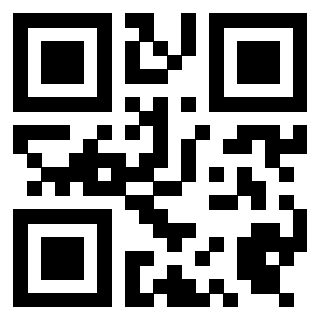 Il Qr Code di 3919497682