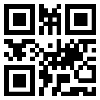 Il Qr Code di 3919497712