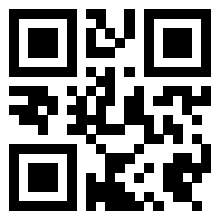 Il Qr Code di 3919497720