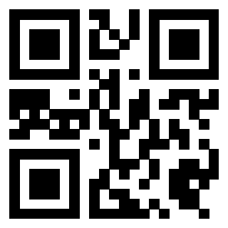 Il Qr Code di 3919497749