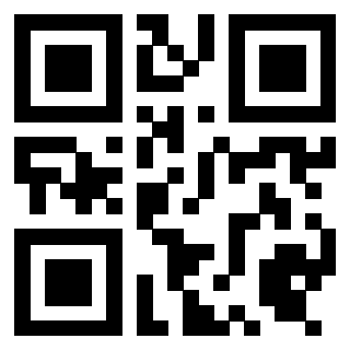 Il Qr Code di 3919497777