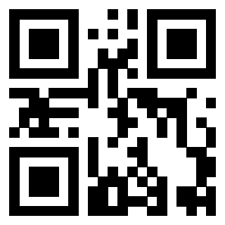 Il Qr Code di 3919497786