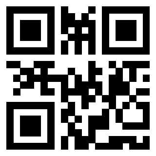 Il Qr Code di 3919497789