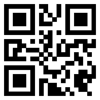 Il Qr Code di 3919497791