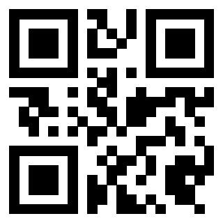 Il Qr Code di 3919497809