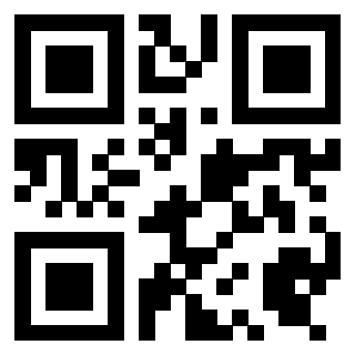 Il Qr Code di 3919497810