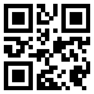 Il Qr Code di 3919497812