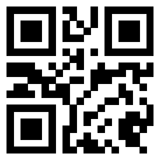 Il Qr Code di 3919497820