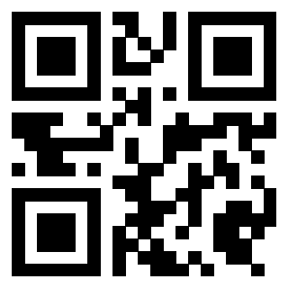 Il Qr Code di 3919497835