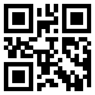 Il Qr Code di 3919497838