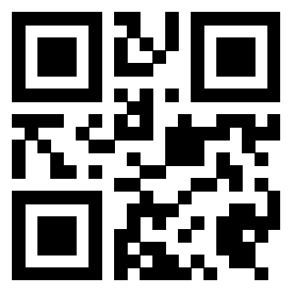 Il Qr Code di 3919497840