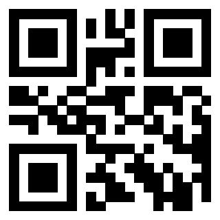 Il Qr Code di 3919497844