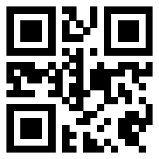 Il Qr Code di 3919497850