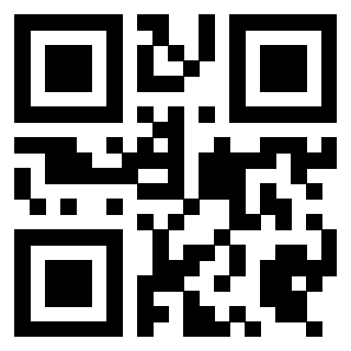 Il Qr Code di 3919497851