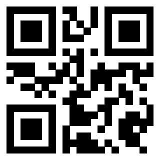 Il Qr Code di 3919497865