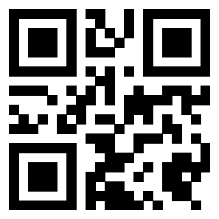 Il Qr Code di 3919497868