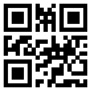 Il Qr Code di 3919497871