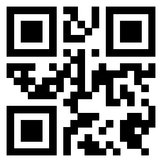 QrCode di 3919497872