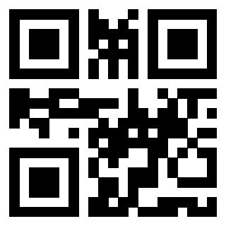 Il Qr Code di 3919497875