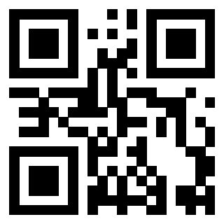 Il Qr Code di 3919497896