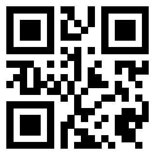 QrCode di 3919497970