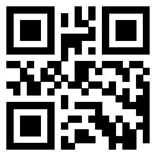 Il Qr Code di 3919497972