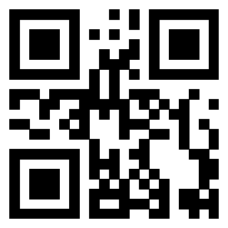 Il Qr Code di 3919498006