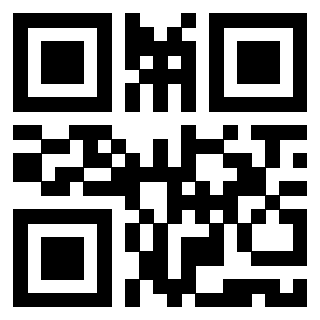 Il Qr Code di 3919498013