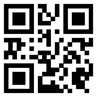 Il Qr Code di 3919498031