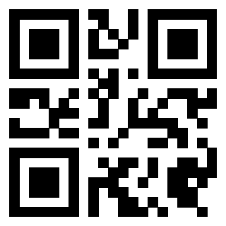 Il Qr Code di 3919498043