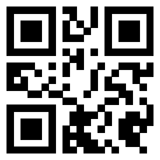 Il Qr Code di 3919498061