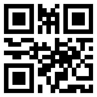 Il Qr Code di 3919498063