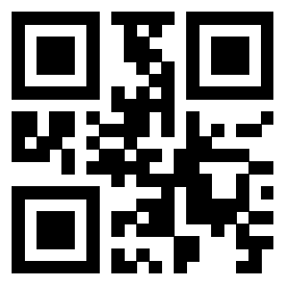 Il Qr Code di 3919498066