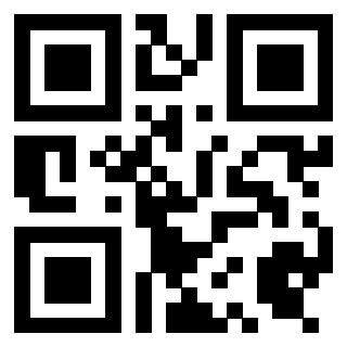 Il Qr Code di 3919498068