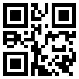 Il Qr Code di 3919542292