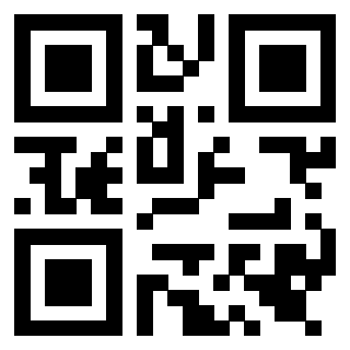 3919542333 QrCode associato