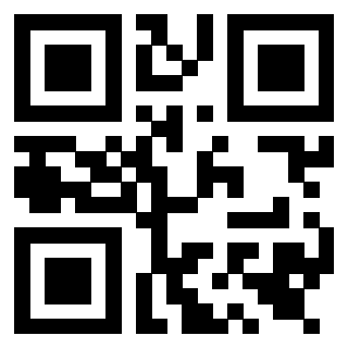 Il Qr Code di 3919542373
